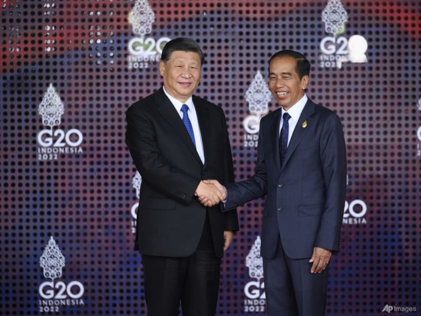 Jokowi and Xi witness trial of China-made high-speed train in Indonesia