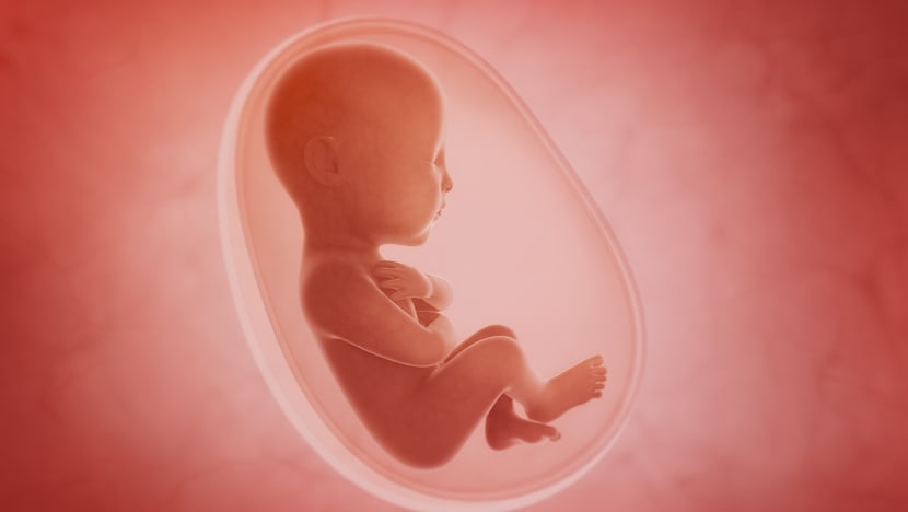 Commentary: Should humans have babies in space?