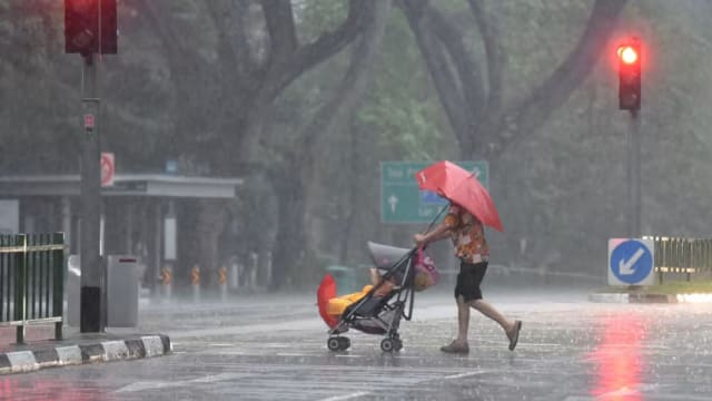 未来两周多数天下午会下雨 最高气温摄氏32至34度