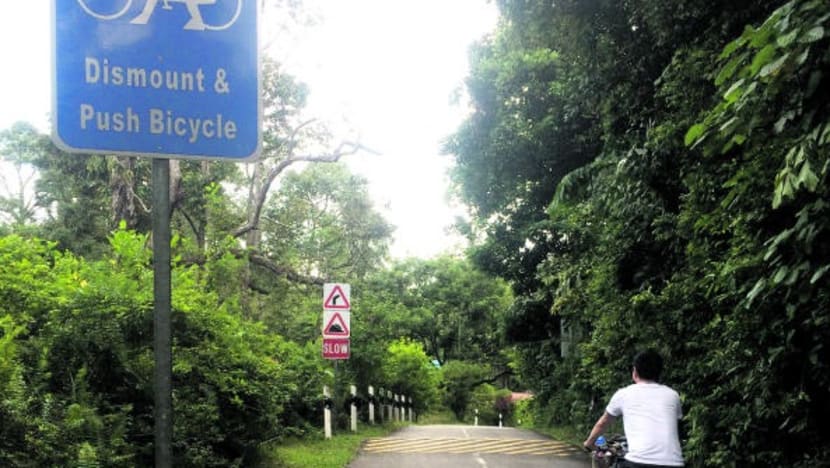 Pulau Ubin visitors to get safety, security tips