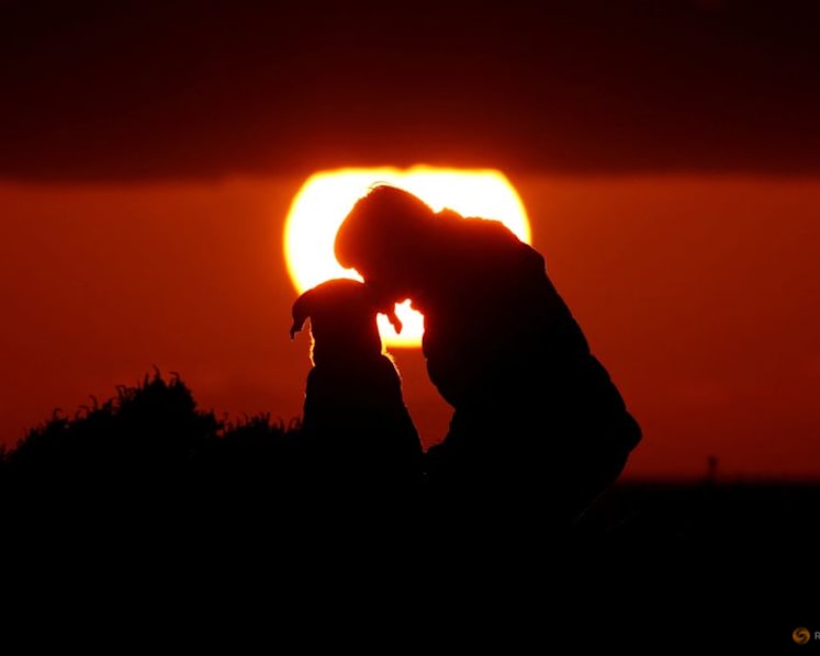Genetic study identifies earliest-known dog, dating to 15,800 years ago