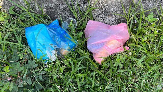 环境局首季开出3000张罚单 严惩垃圾虫