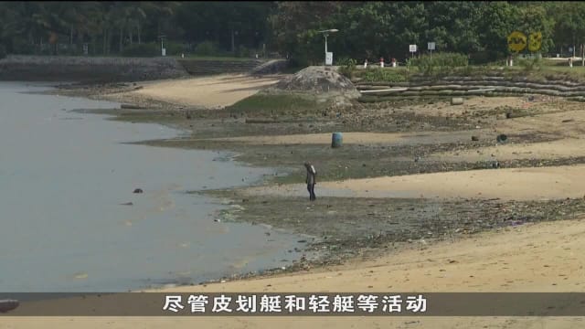 两海滩海水肠球菌含量升高 附近娱乐中心采取系列预防措施