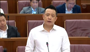 Yip Hon Weng on Veterinary Practice Bill