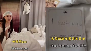 Influencer Slammed For Tipping Cruise Staff Just S$2 After They Made Her An Entire Zoo Of Towel Animals She Requested For