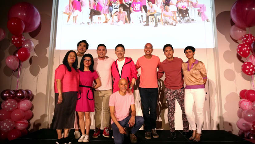 Pink Dot to mark 10th year with more events; but rally organisers struggling to raise funds