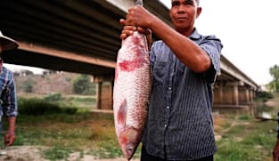 Insight 2026/2027 - Thailand’s Poisoned Rivers