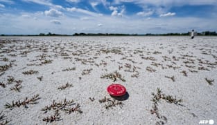 Climate change to blame for intensity of Europe heatwave: Scientists