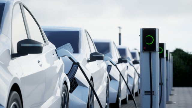 6月新注册电动车数量 今年二度超越混合动力车