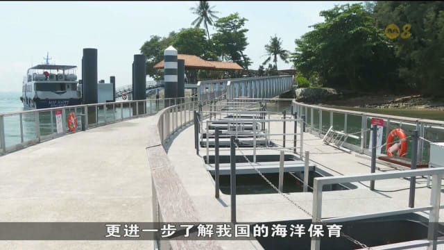 绿动新加坡活动回归 推出900多个项目