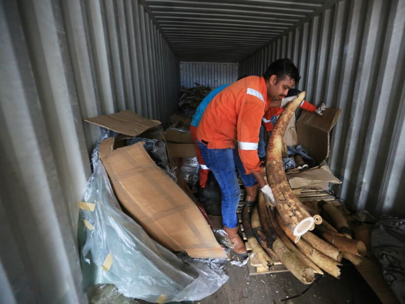 Govt proposes ban on sale of elephant ivory in Singapore