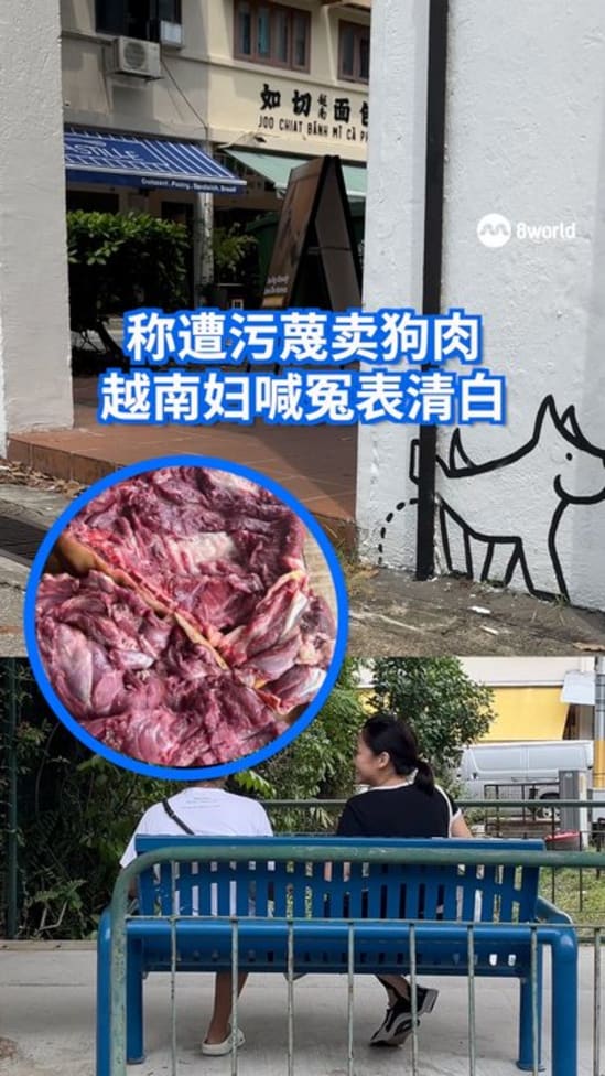 Allegeddogmeatsale2