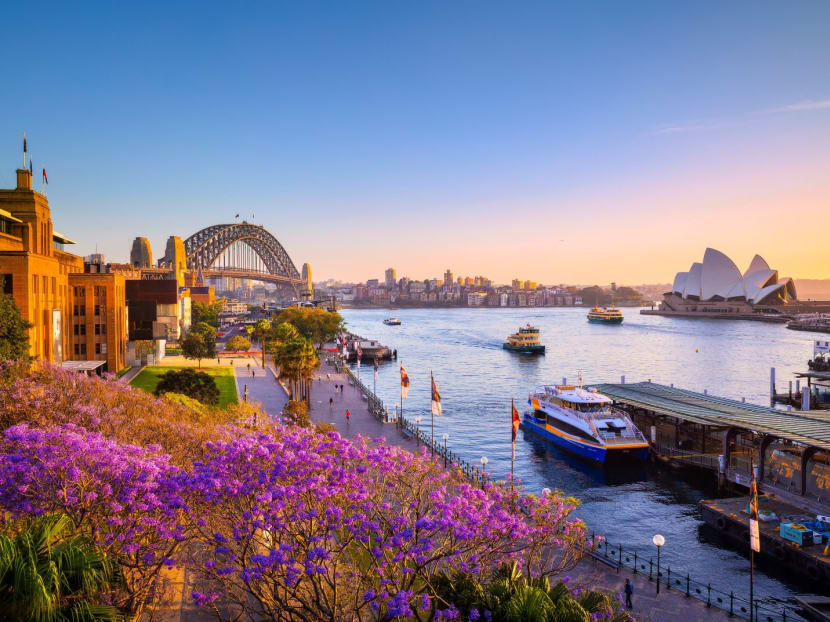 From shore to sky in Sydney and New South Wales: Savour fresh oysters, stay overnight in a zoo and go on a stargazing tour