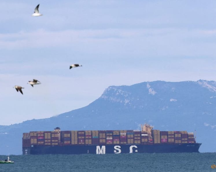 MSC to buy 50% stake in tanker giant Sinokor, Cypriot filing shows