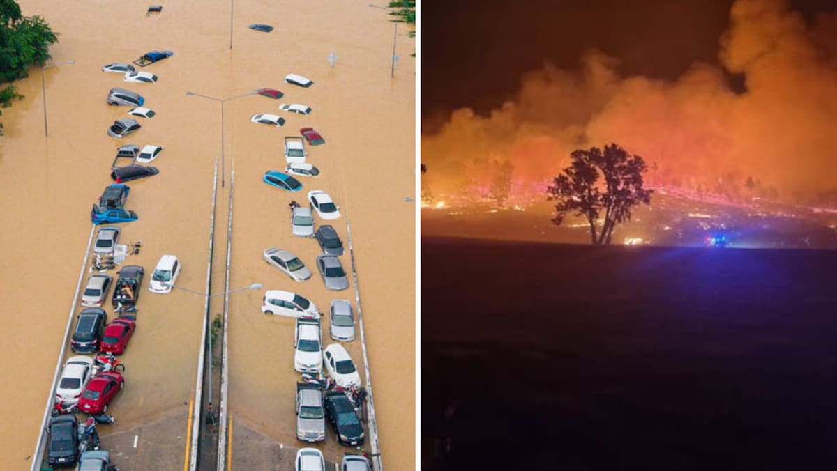 Commentary: Asia floods, Australia bushfires and how an Oscar-winning filmmaker reignited my faith in climate action