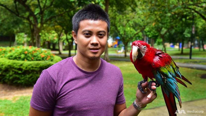 Flying high: The art of training birds to roam free takes off