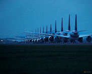 'Resilient' airlines head for record passenger numbers: IATA