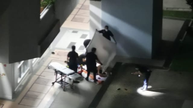 【裕廊东谋杀案】涉醉酒后捅死前女友 男子被判坐牢12年
