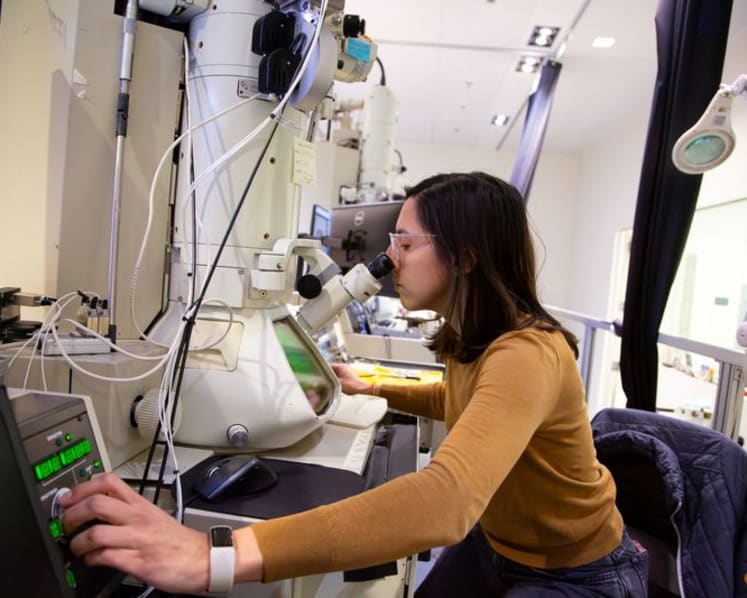 Commentary: A US brain drain doesn’t benefit anyone