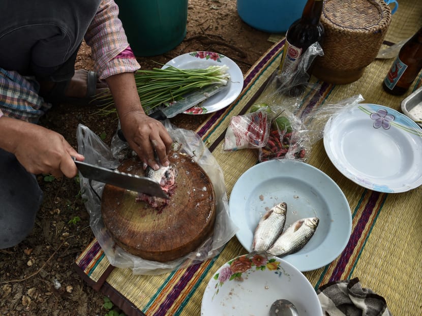 This photograph taken on May 20, 2017 shows a farmer chopping fresh fish for a koi pla lunch in the northeastern Thai province of Khon Kaen. Photo: AFP This photograph taken on May 20, 2017 shows a farmer chopping fresh fish for a koi pla lunch in the northeastern Thai province of Khon Kaen. Photo: AFP