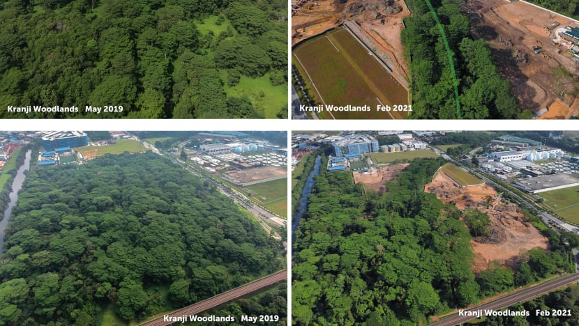 Illegal Kranji land clearing: JTC deputy director, senior project manager among 3 charged with multiple offences