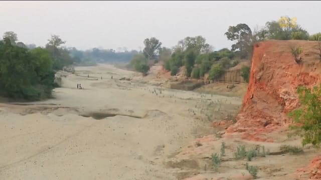 COP29将聚焦清洁能源融资 及化石燃料替代方案
