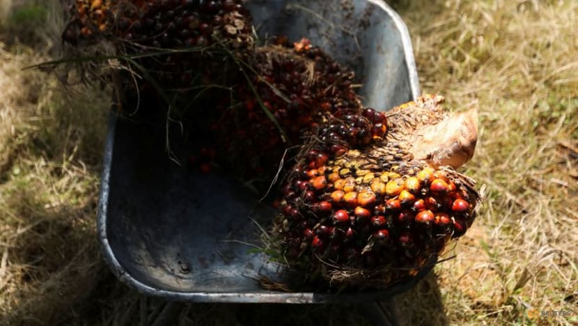 Malaysia palm oil stocks hit nearly 2-year low in Feb as output drops Malaysia palm oil stocks hit nearly 2-year low in Feb as output drops