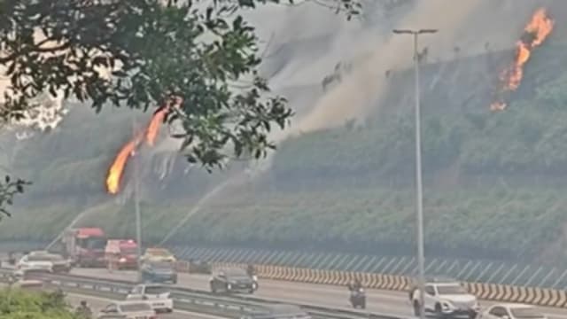 马国隆布大道旁树林失火 浓烟弥漫影响来往车辆