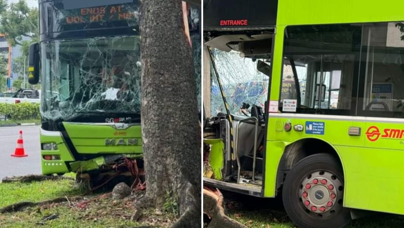 SMRT bus driver, 58, dies after crashing into tree in Woodlands; no commuters on board