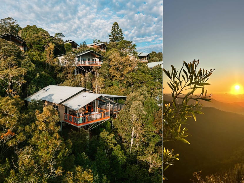 We stayed in the rainforest in Gold Coast and it was unreal &mdash; here&rsquo;s why you should plan your itinerary around this little-known holiday retreat