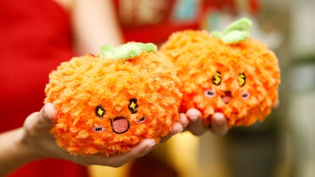 超萌橘子军团出击，过年就是要拥有它们！