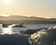 IN FOCUS: Greenland’s melting ice carries warnings far beyond the Arctic