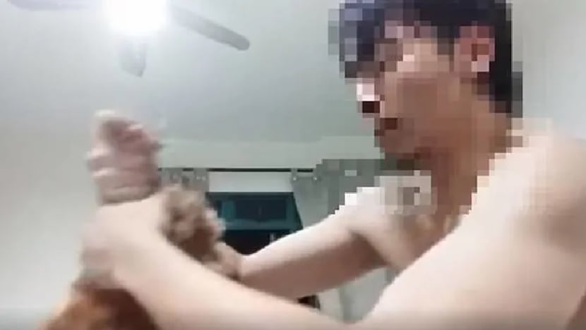 Investigations launched after videos of dog being repeatedly beaten circulate online; man in video identified