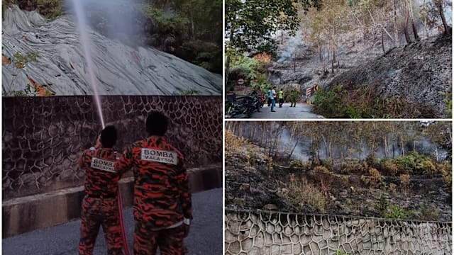 马国槟城植物园现林火 约五公顷土地被火吞噬