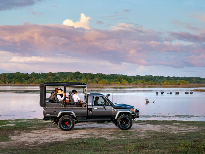 A leopard sighting of epic proportions on safari and more in Sri Lanka