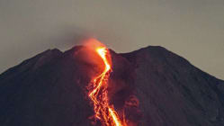 Related article image
