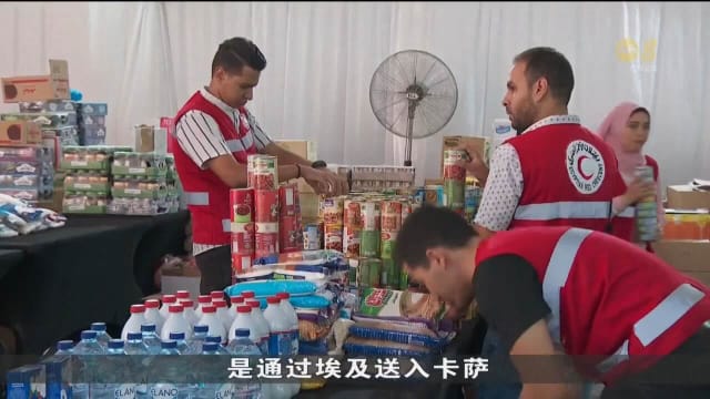 我国代表团已到约旦 将物资移交给他们