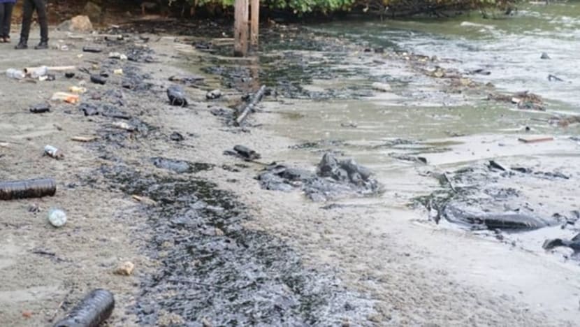 Johor mulakan pembersihan pantai susuli tumpahan minyak di SG