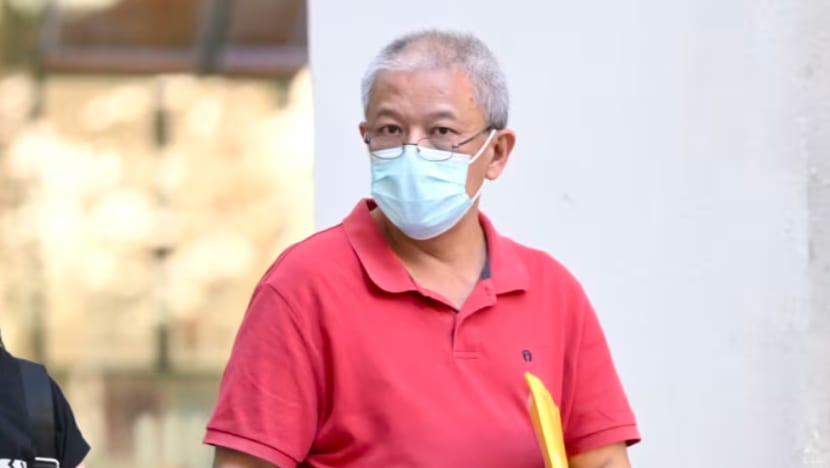 Lelaki didenda S$5,300 kerana rosakkan poster kempen & bendera PAP semasa GE2025