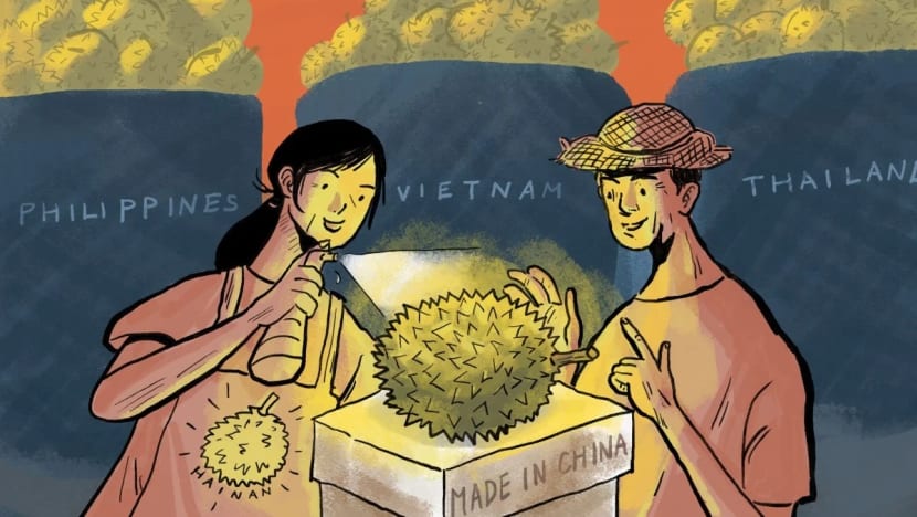 1 man, 10,000 trees: Why China’s fledgling durian farms still can’t compete with Southeast Asian imports 1 man, 10,000 trees: Why China’s fledgling durian farms still can’t compete with Southeast Asian imports