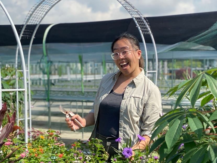 This 33-year-old urban farmer wants you to grow your own food from your HDB window