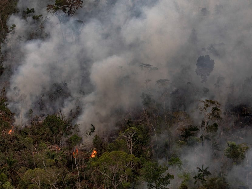 Amazon fires are destructive, but they aren’t depleting Earth’s oxygen supply