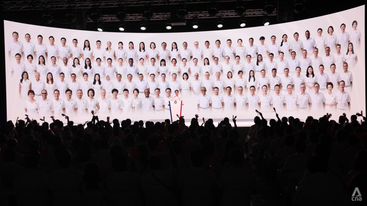 GE2025: The backup PAP candidates who stand 'ready' to contest in the polls