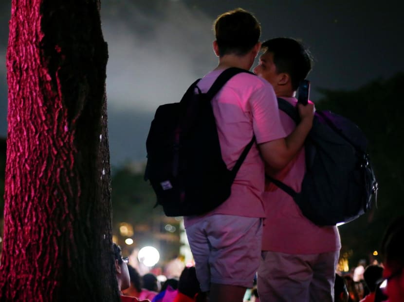 Participants at the 2019 Pink Dot event in Hong Lim Park, organised in support of the lesbian, gay, bisexual, transgender and queer community.
Participants at the 2019 Pink Dot event in Hong Lim Park, organised in support of the lesbian, gay, bisexual, transgender and queer community.