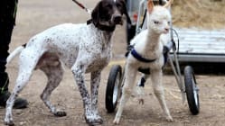 Related article image