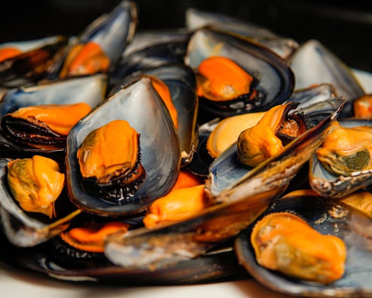 Singapore to restrict sale, supply of tainted mussels from Malaysia's Port Dickson