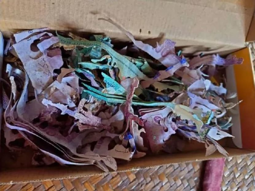 The destroyed ringgit notes in a shoe box.