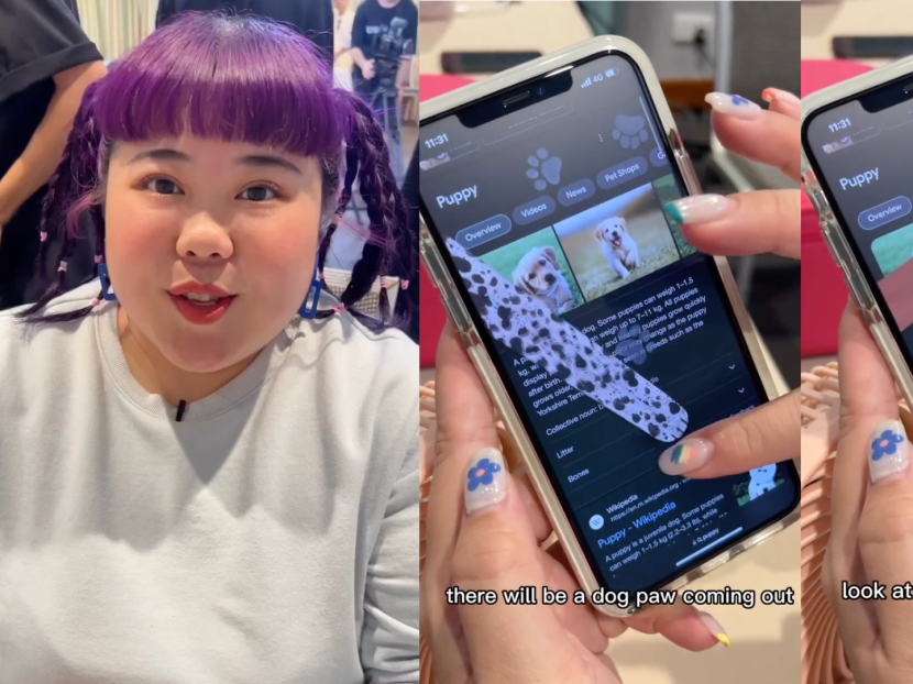 You can now have super cute puppy paw prints all over your Google search; Xixi Lim shows you how