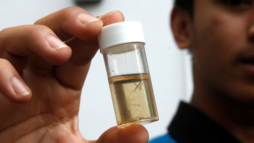A month on, Zika tails off, but experts warn against complacency