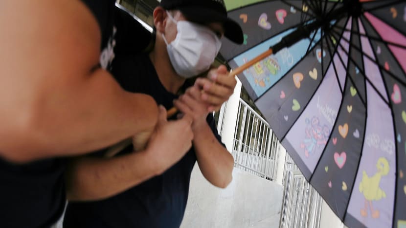 Yishun cat abuse suspect out on bail